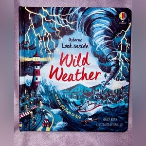 ⚡️Look Inside Wild Weather Flap Book⛈️